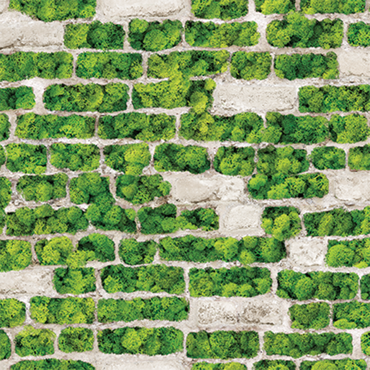 moss on bricks
